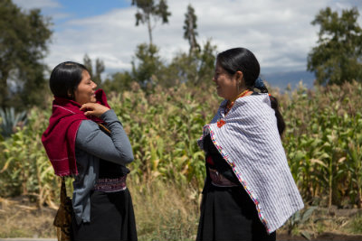 International Day for the Elimination of Violence against Women 2018