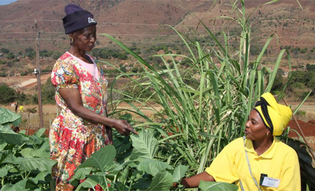 CHOICE carer Irene giving HIV patient Betty advice on healthy vegetables to grow