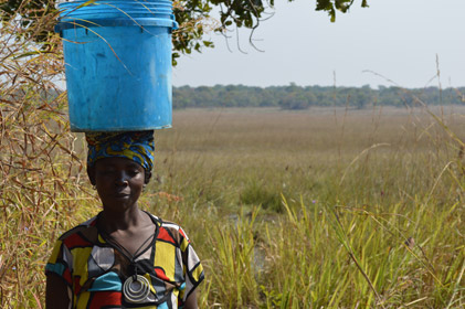 Christine Chama Luwingu District watering community vegetables