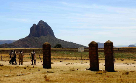 Farmers in Tigray