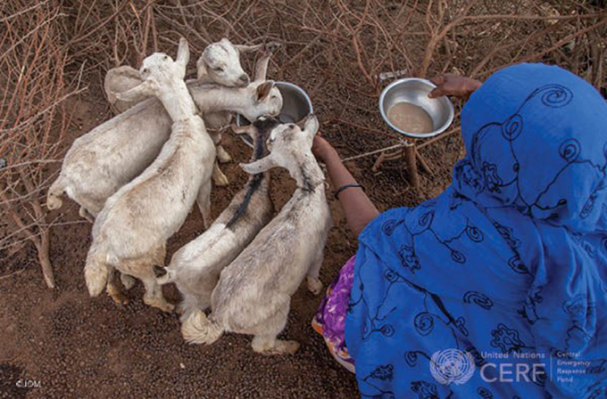 UN CERF - Credit: IOM/Mary-Sanyu Osire