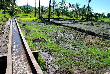 Kiroka Village, Tanzania, Irrigation Scheme