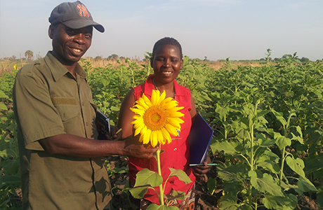 Irish Aid works in our eight key partner countries to help small farmers combat the effects of climate change