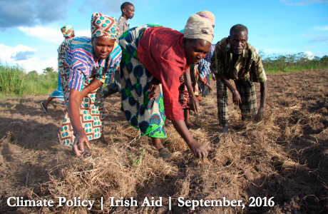 Cassava planting, Polo village, Mbale District, Zambia. Photo: Irish Aid